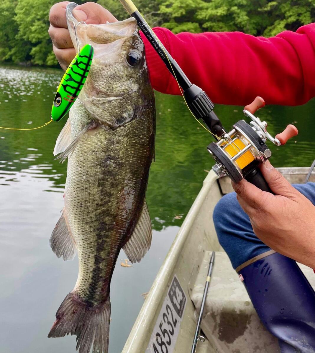 春の大人の楽しいバス釣り。 GoPhish