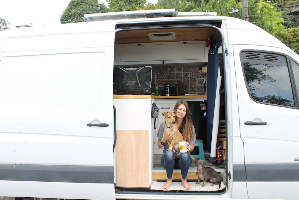 Best Dog Gear for Van Life Top 5 Items • GoVan