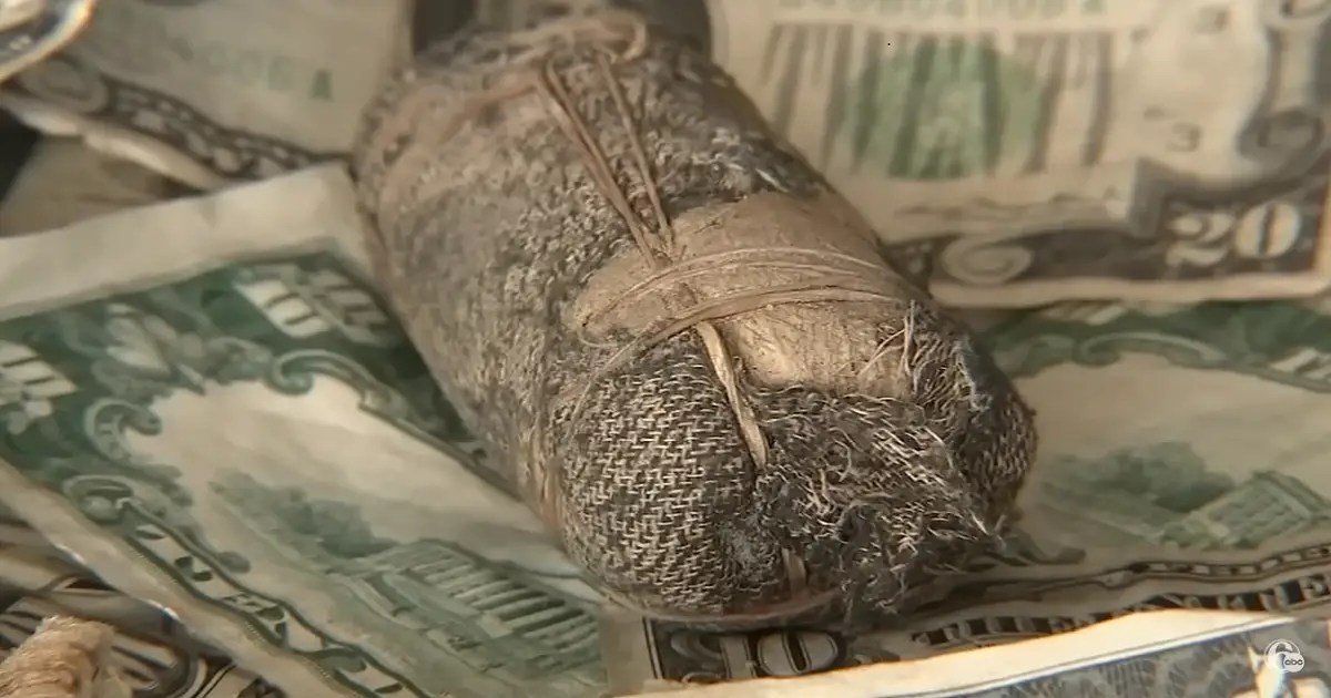 Man Stumbles Upon Wad Of Cash That Has Been Buried In His Backyard For