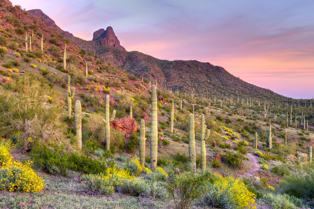 Video Guide to Arizona State Parks Campendium