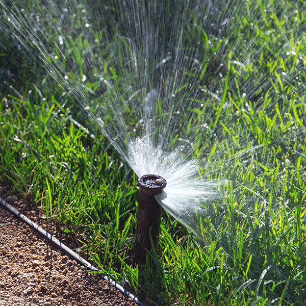 GO Designs El Paso El Paso Landscaping Design & Architecture