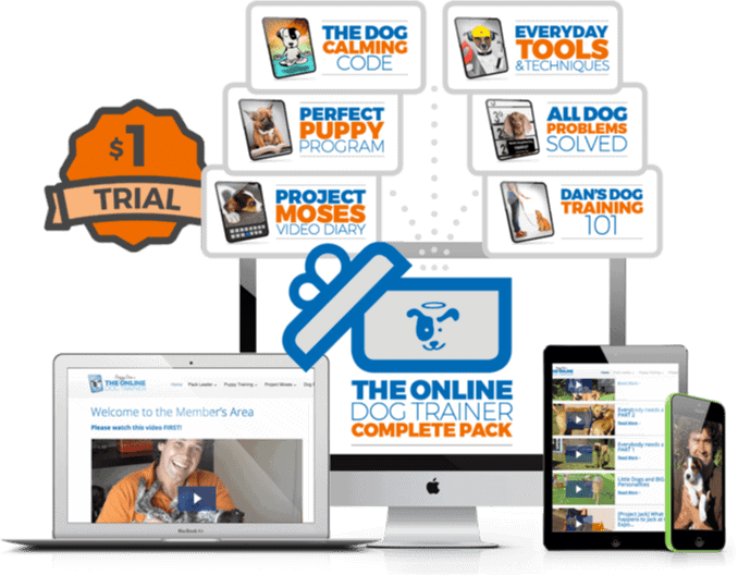 The Online Dog Trainer from Doggy Dan