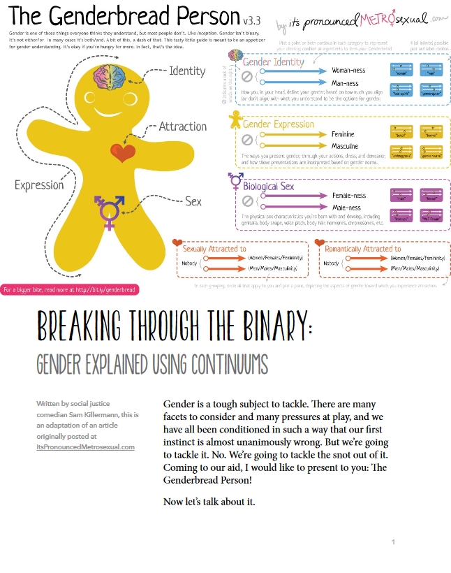 What Is The Genderbread Person And How Is It Being Used In Schools?