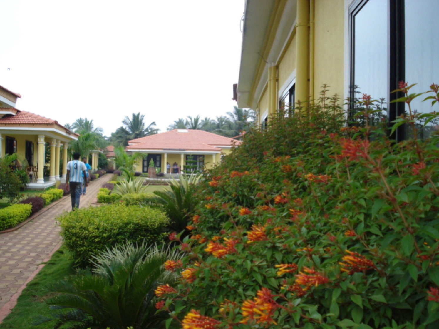 Villa for Rent at Vagator Beach Luxury villa North Goa Pool & Kitchen