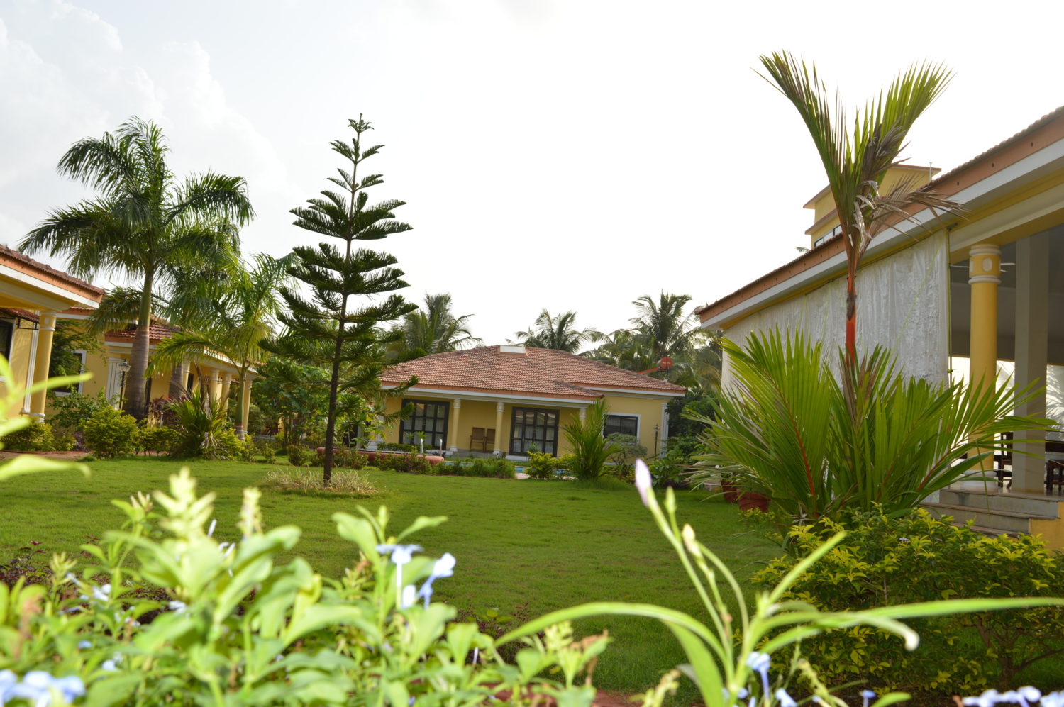 Villa for Rent at Vagator Beach Luxury villa North Goa Pool & Kitchen