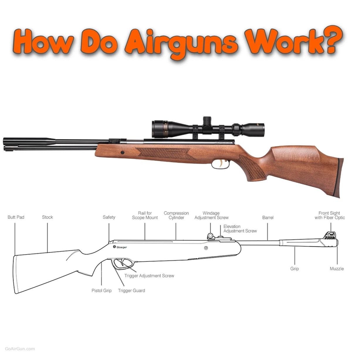 Decoding Airgun Mechanics How Do They Work?