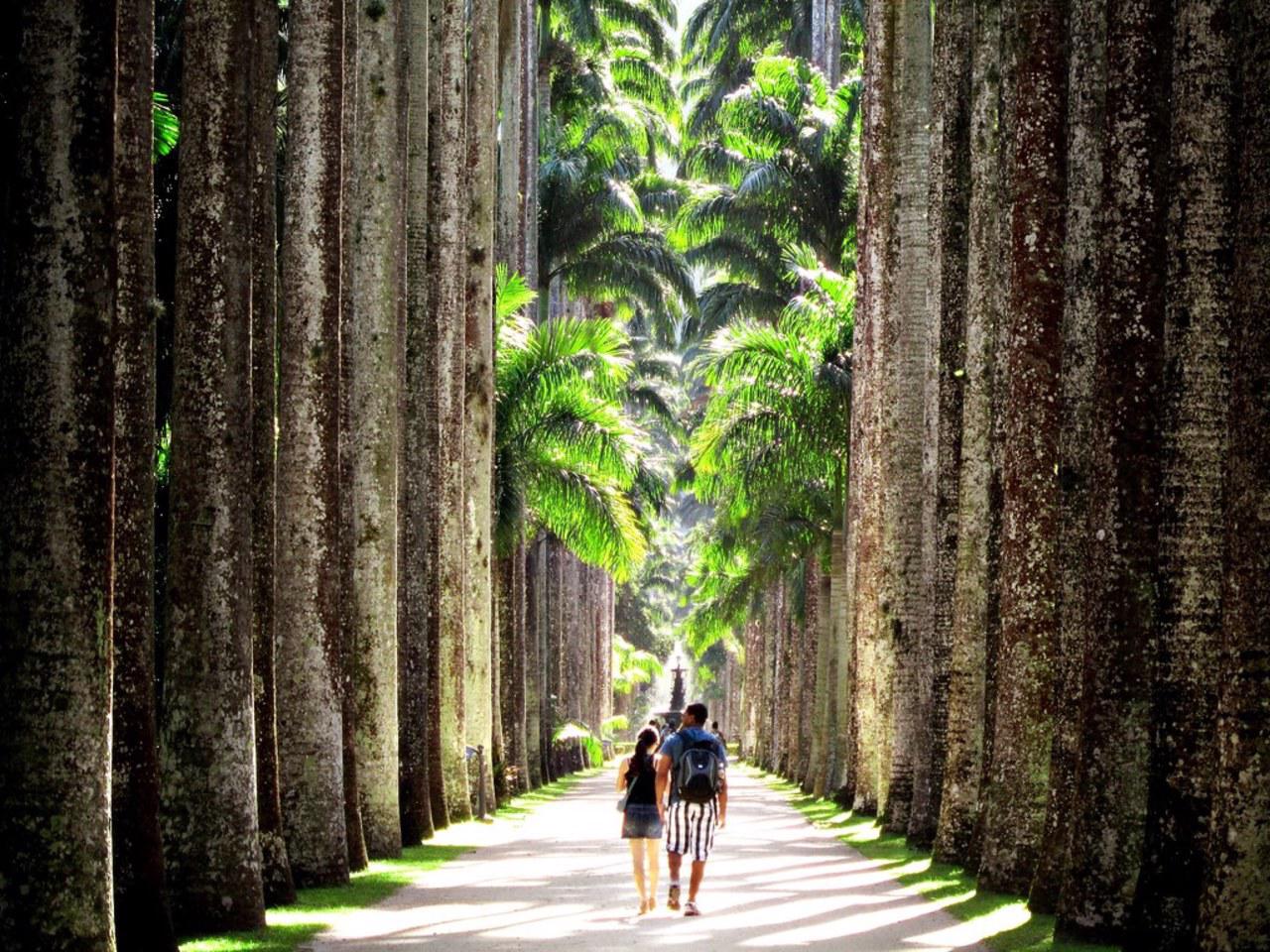 Jardim Botânico e Parque Lage com transfer Rio de