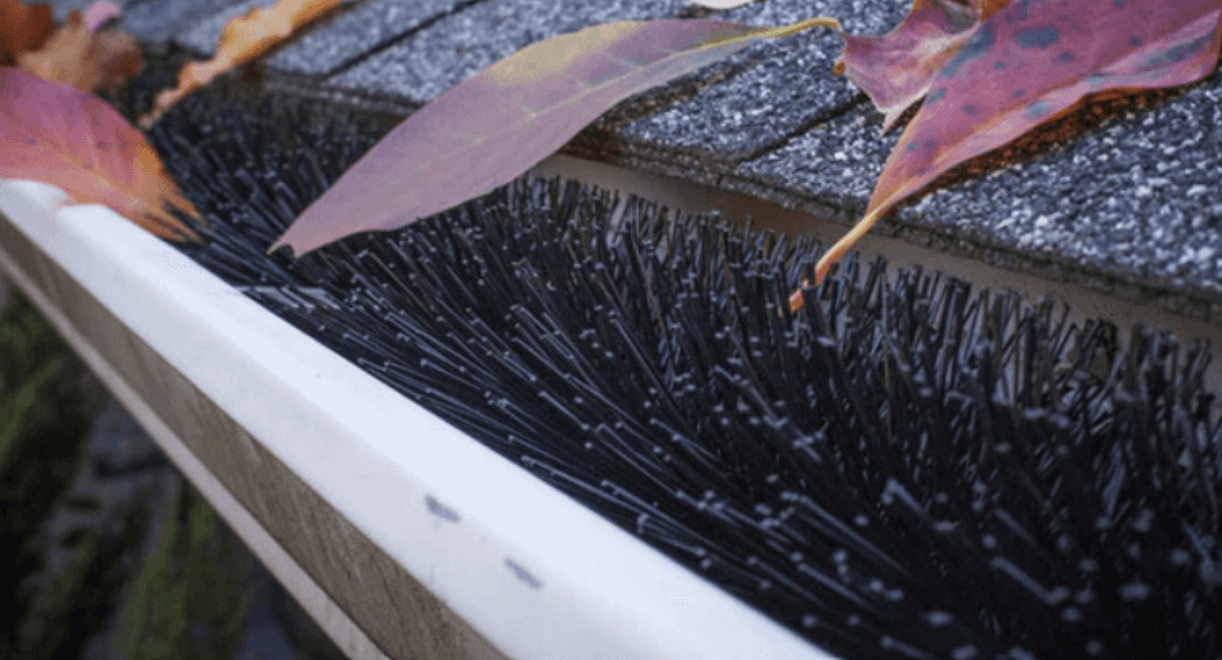 Best Types Of Gutter Guards To Protect Your Gutters