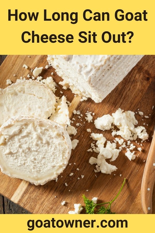 How Long Can Goat Cheese Sit Out? Goat Owner