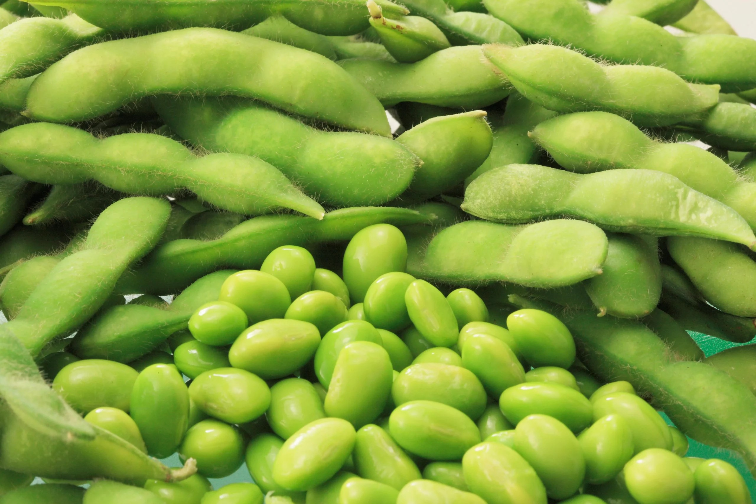 Can Goats Eat Edamame Shells? (What You Need To Know)