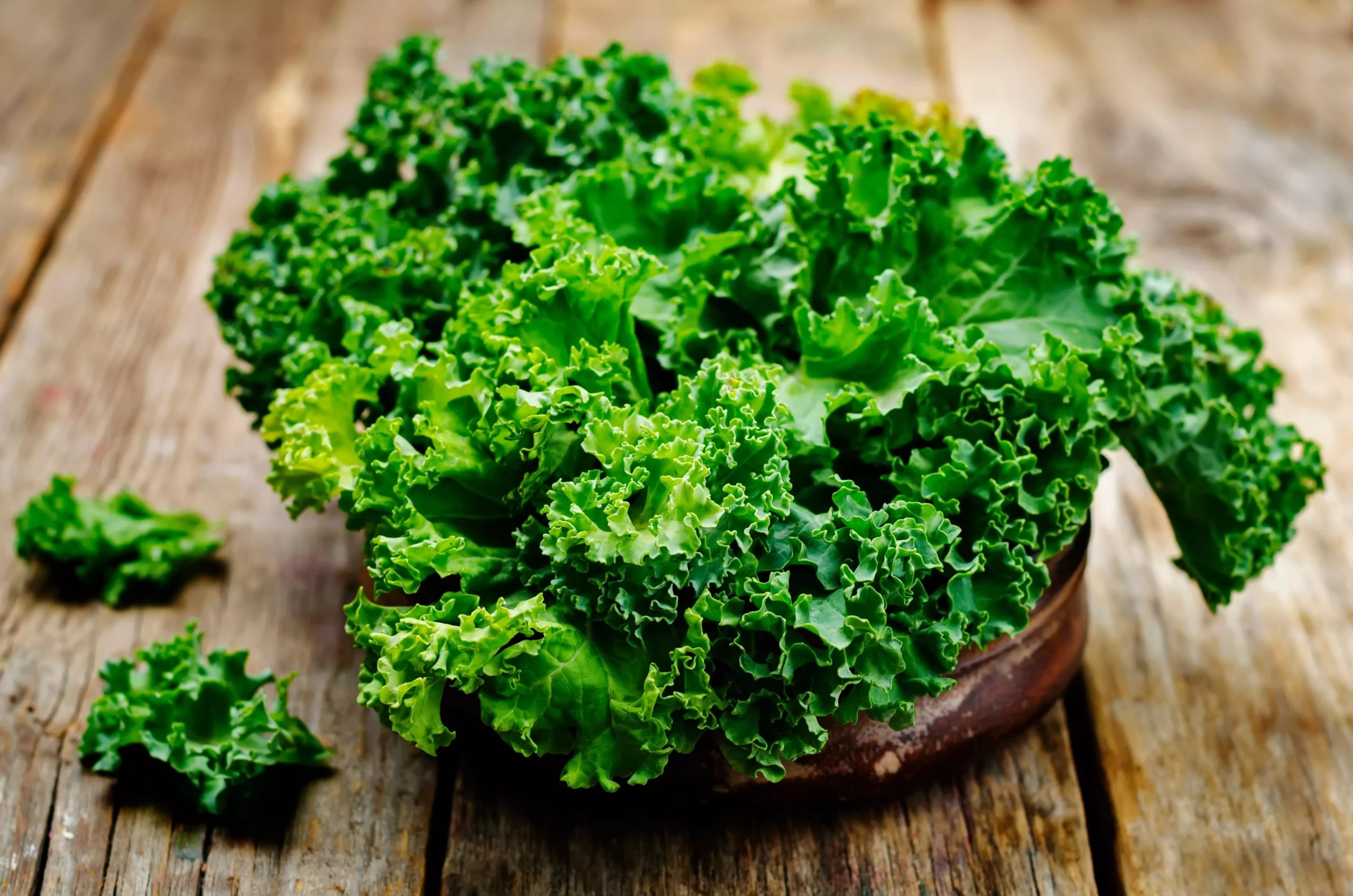 Can Goats Eat Kale? (Benefits, Risks, Serving Size, and FAQs)