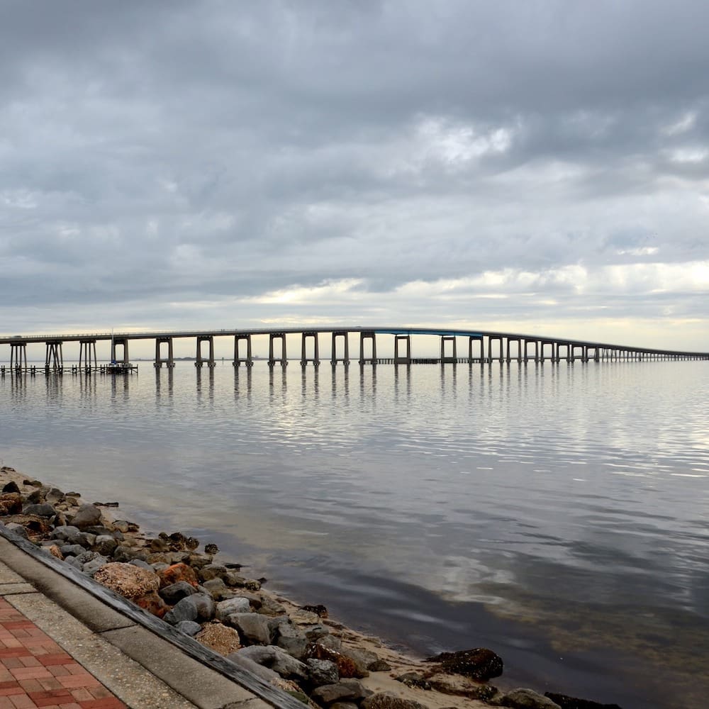 Synthetic Grass Florida Soft & Cool, LowMaintenance Goat Turf