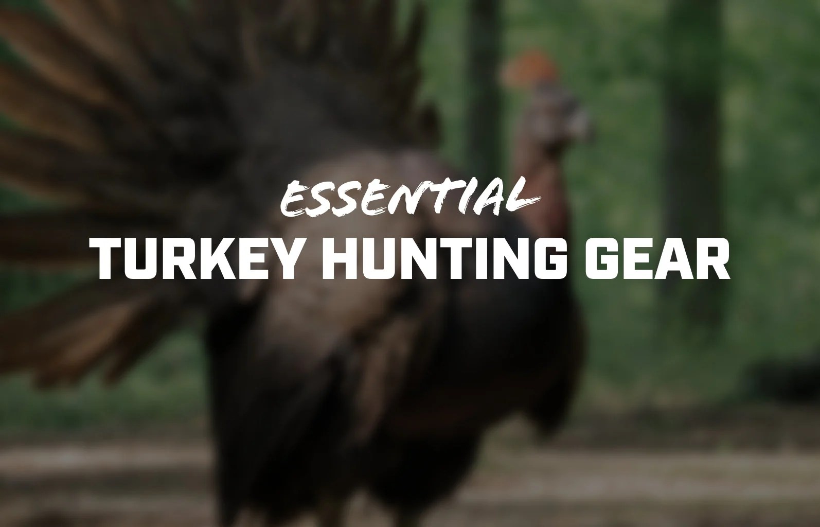 Turkey Hunting Gear Guide Find Your Turkey Hunting Essentials AXIL