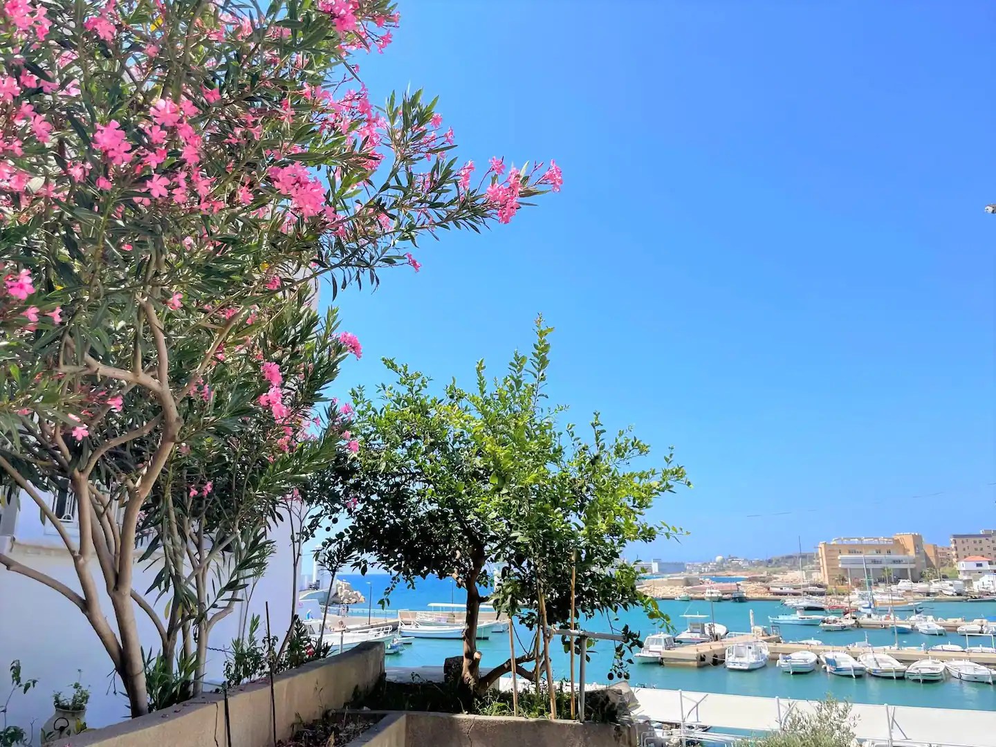 Batroun Marina Apartment › Go Batroun