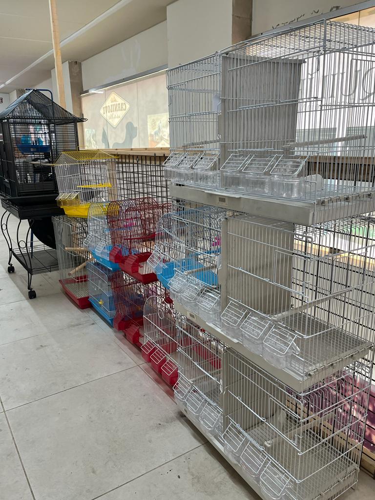 Pet store › Phoenix Pet Shop › Go Batroun