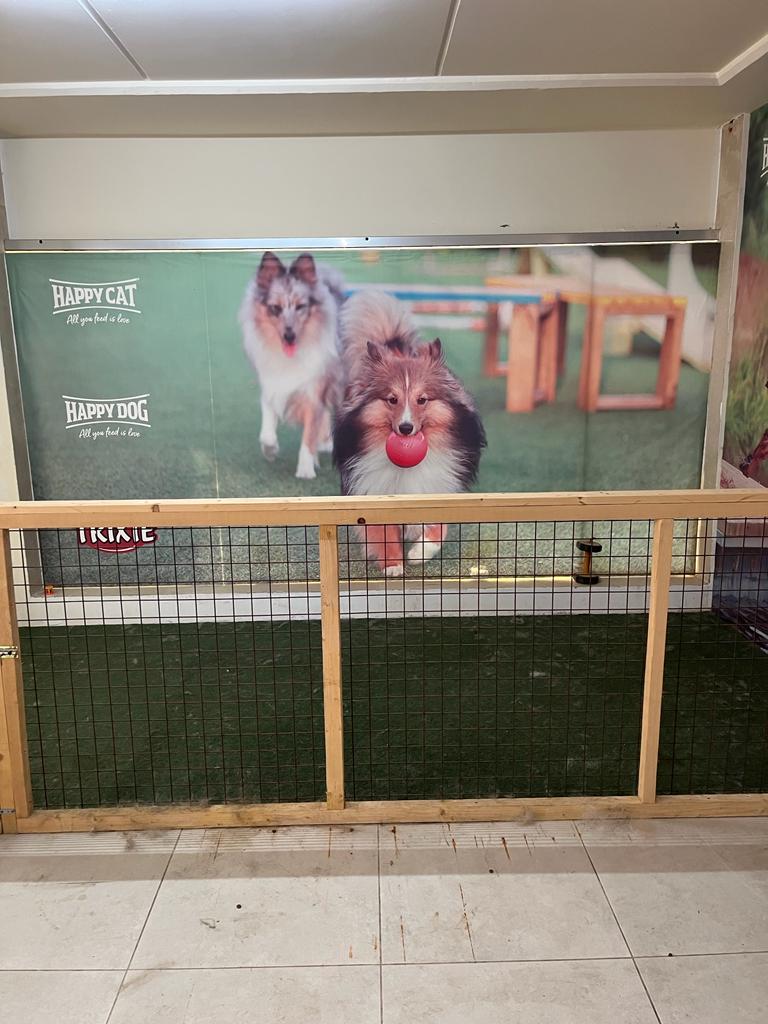 Pet store › Phoenix Pet Shop › Go Batroun