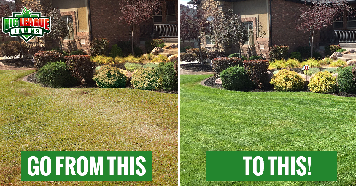 Lawn Fertilization Services in Ogden, Utah Grass fertilization Utah