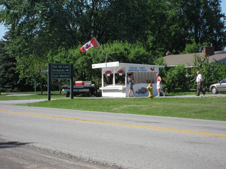 Cycling the Niagara Peninsula GoBiking.ca