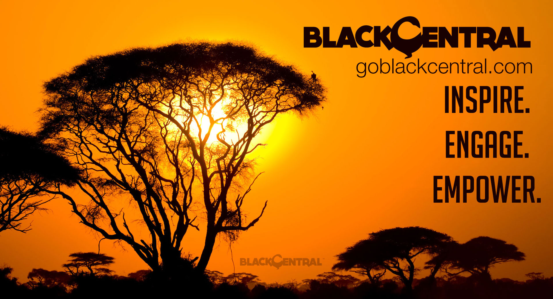 BLACK CENTRAL™