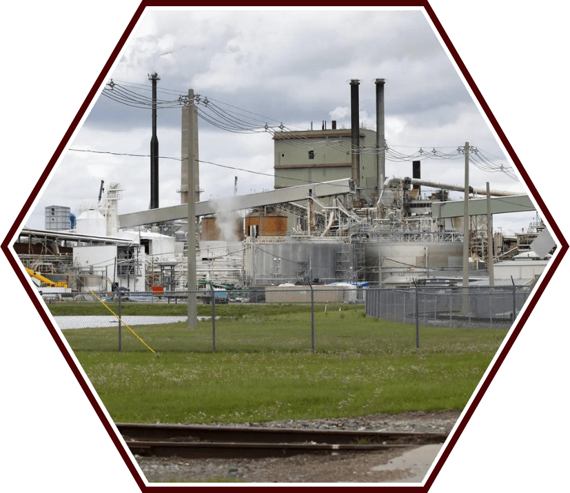 Annual Outage Blue Wolf Performance Solutions