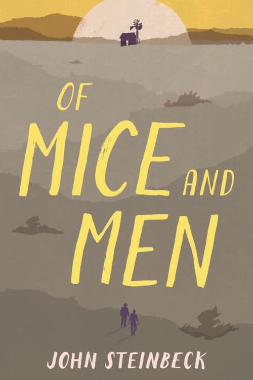 15 Novels for High School Students GoBookMart