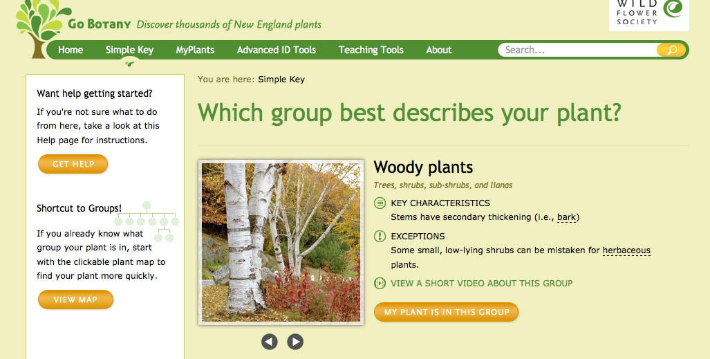 Getting Started Simple Key Help Go Botany