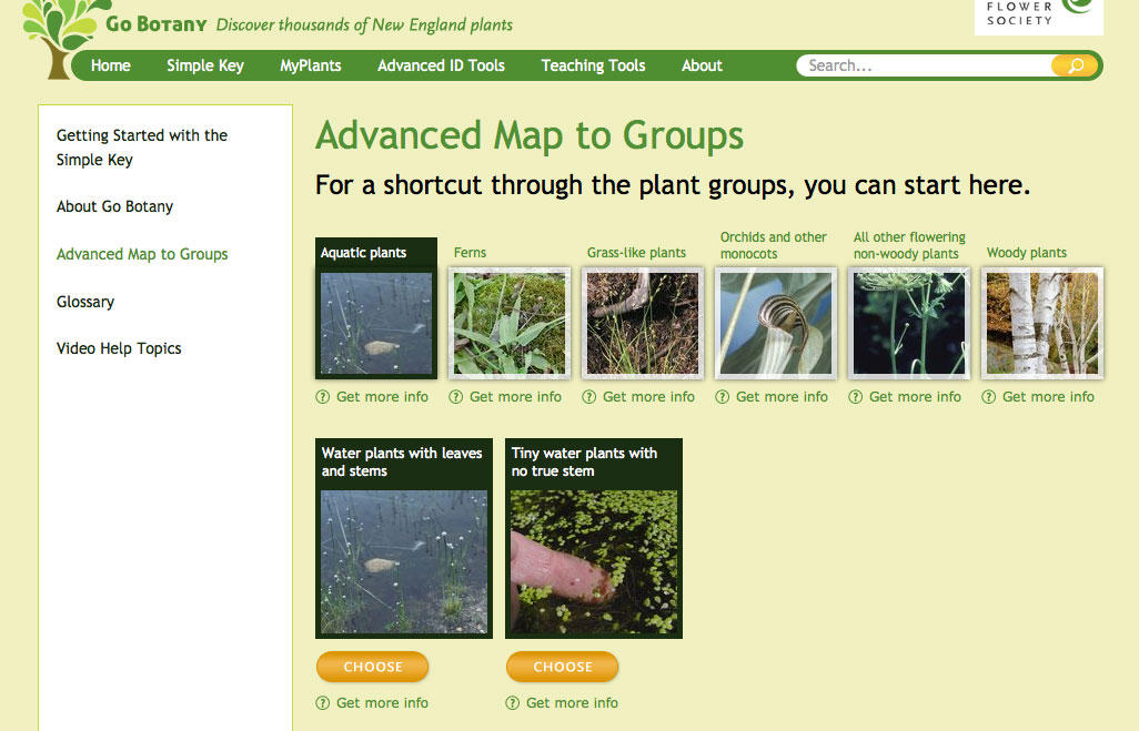 Getting Started Simple Key Help Go Botany