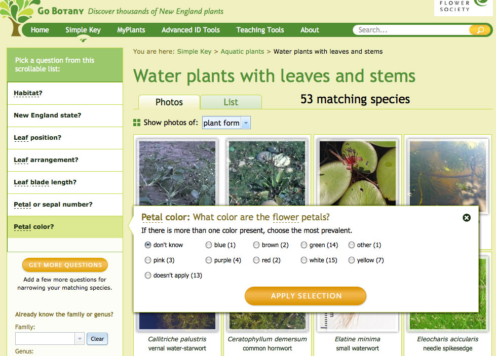 Getting Started Simple Key Help Go Botany