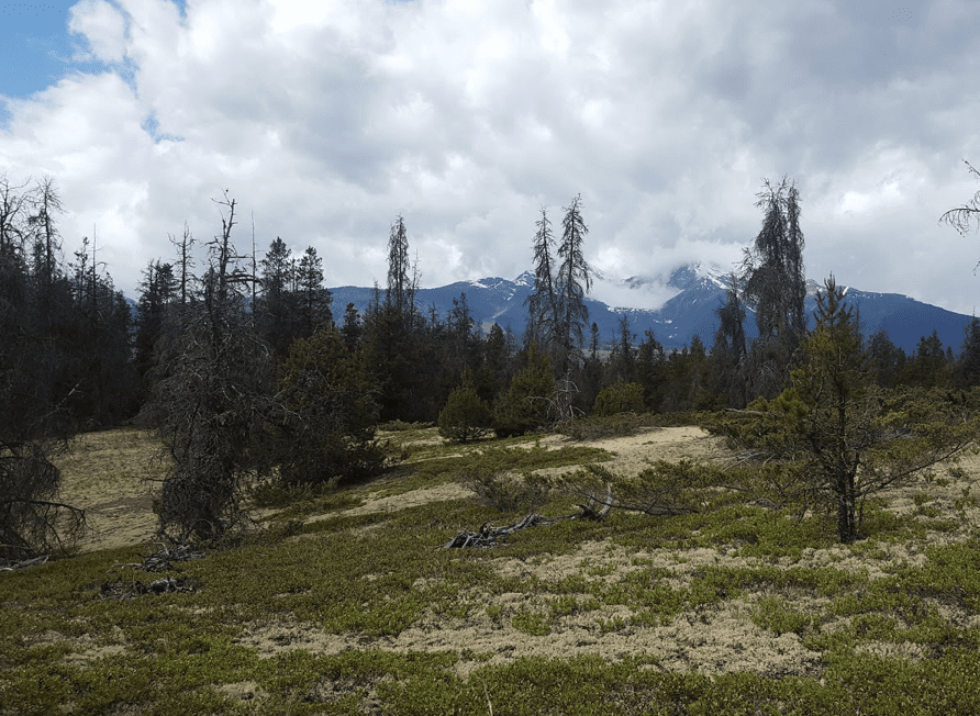 Jackman Flats Go Camping BC