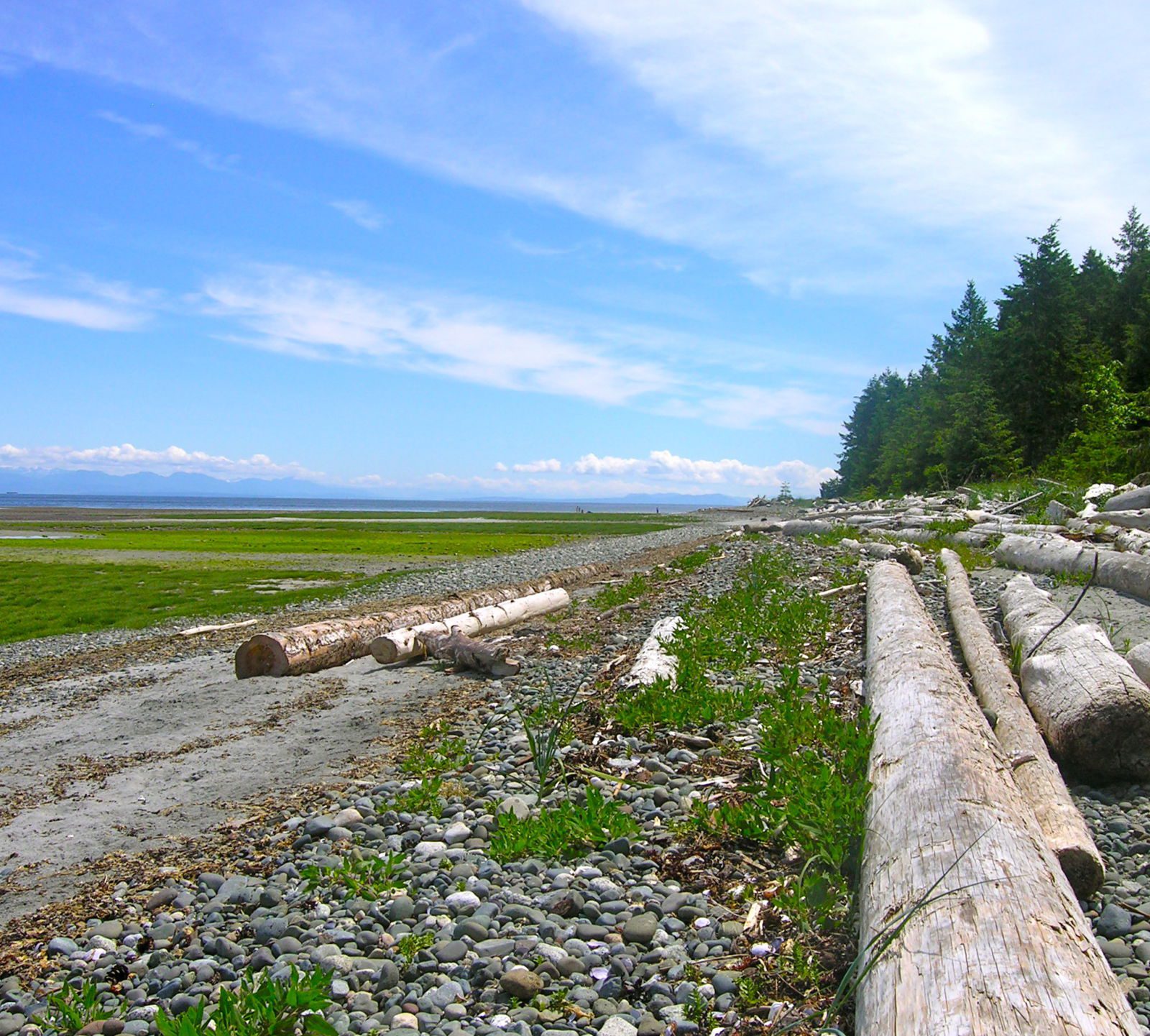 Miracle Beach Go Camping BC