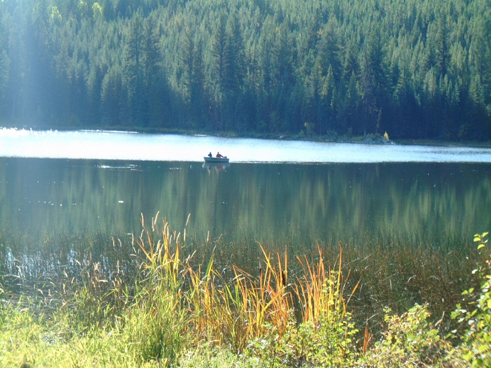 Roche Lake Go Camping BC