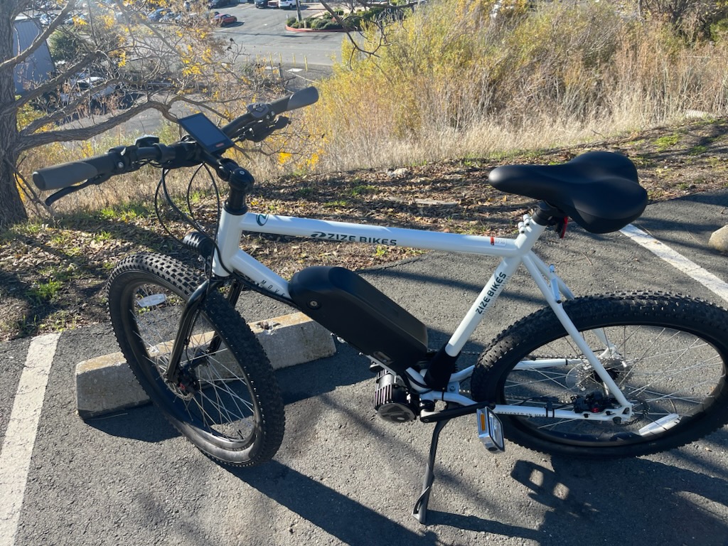 Electric Heavy Duty Zize Bicycle for Sale with Bafang 1000 watt mid