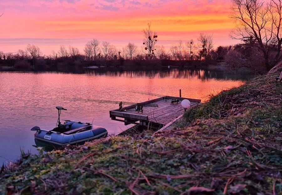 Étang Carp'fusion GoCarp