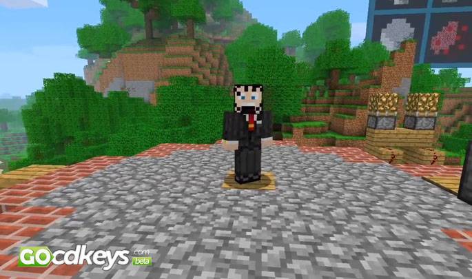 prix jeux minecraft pc