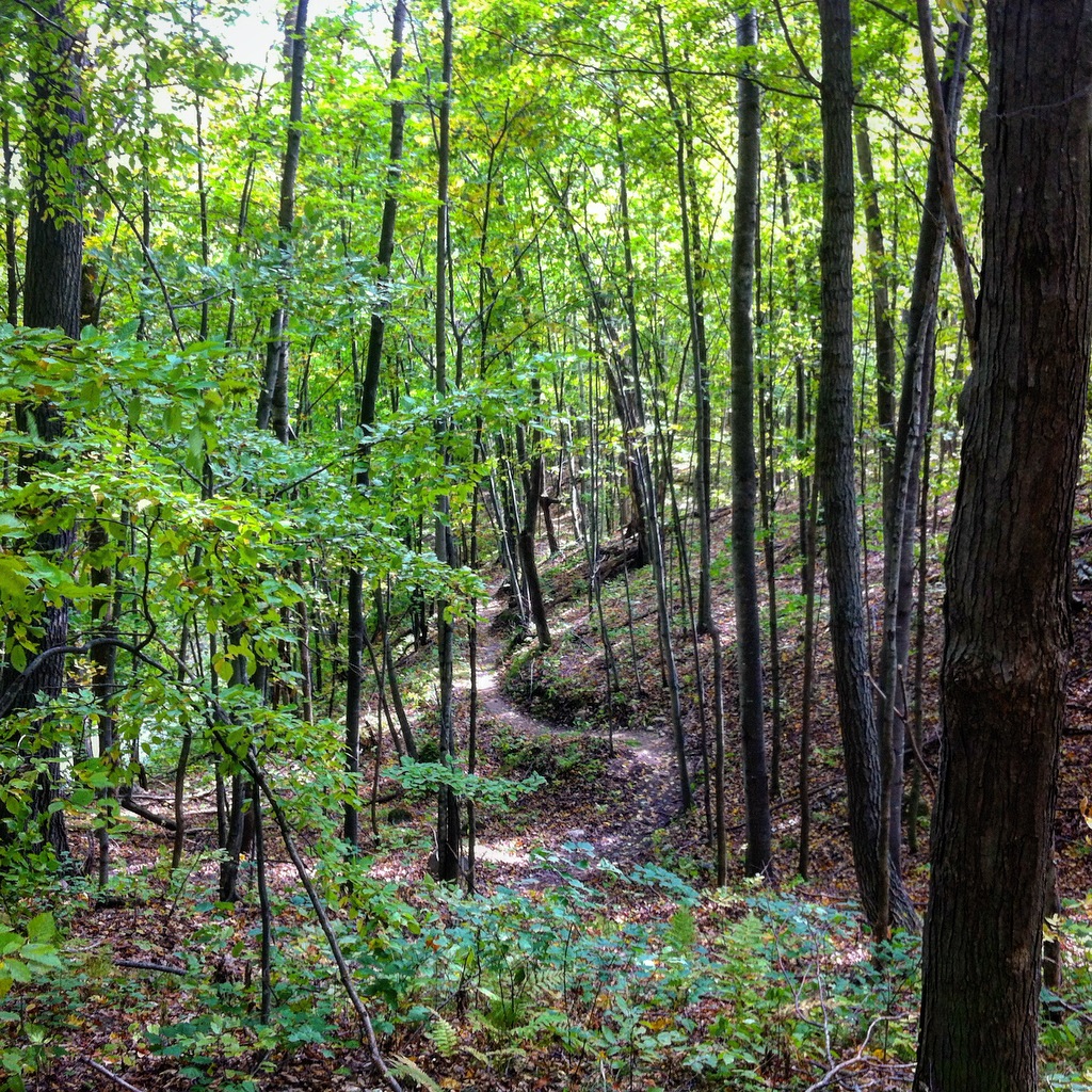 Hickory Ridge Recreation Area » GO Chippewa County Wisconsin