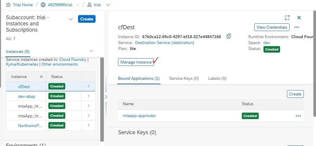 SAP BTP Destination Access in SAP UI5 - Go Coding