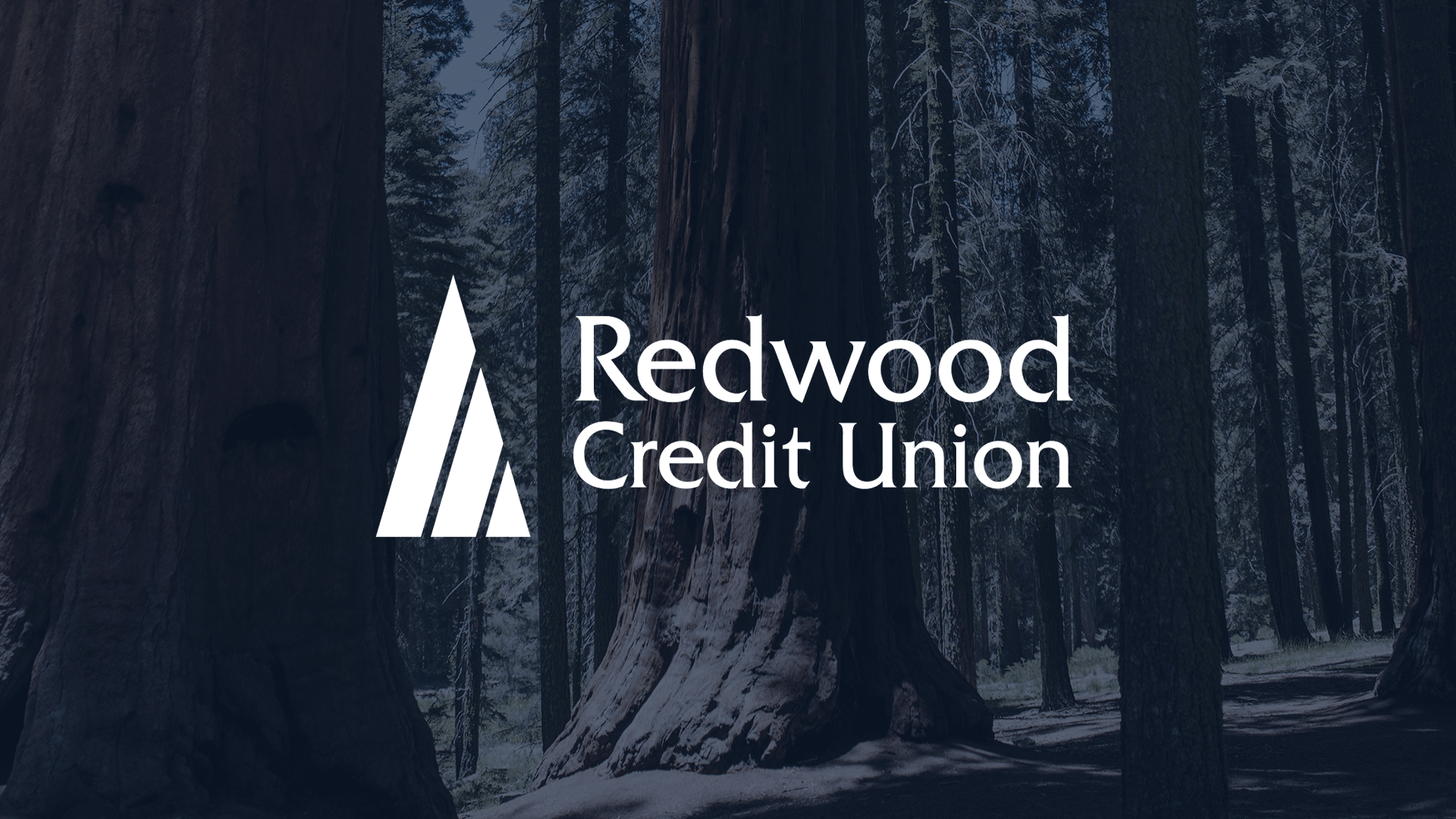 Tell a Meaningful Business Story in a Scalable Way with Power BI