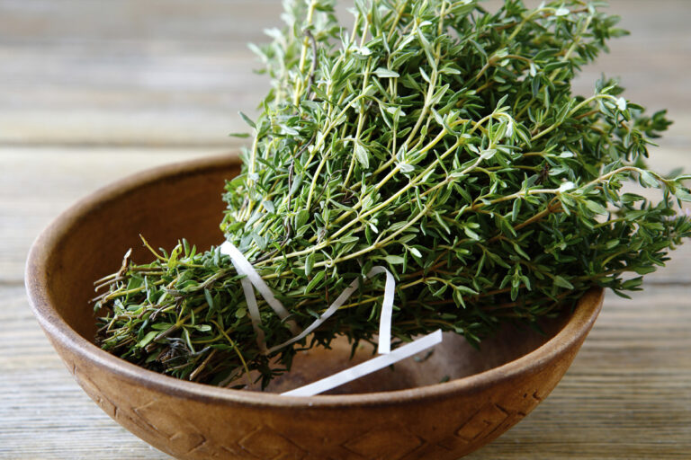 How Long Does Fresh Thyme Last? Go Cook Yummy