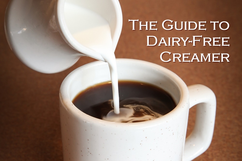 Guide to the Best Dairy Free Coffee Creamer Options