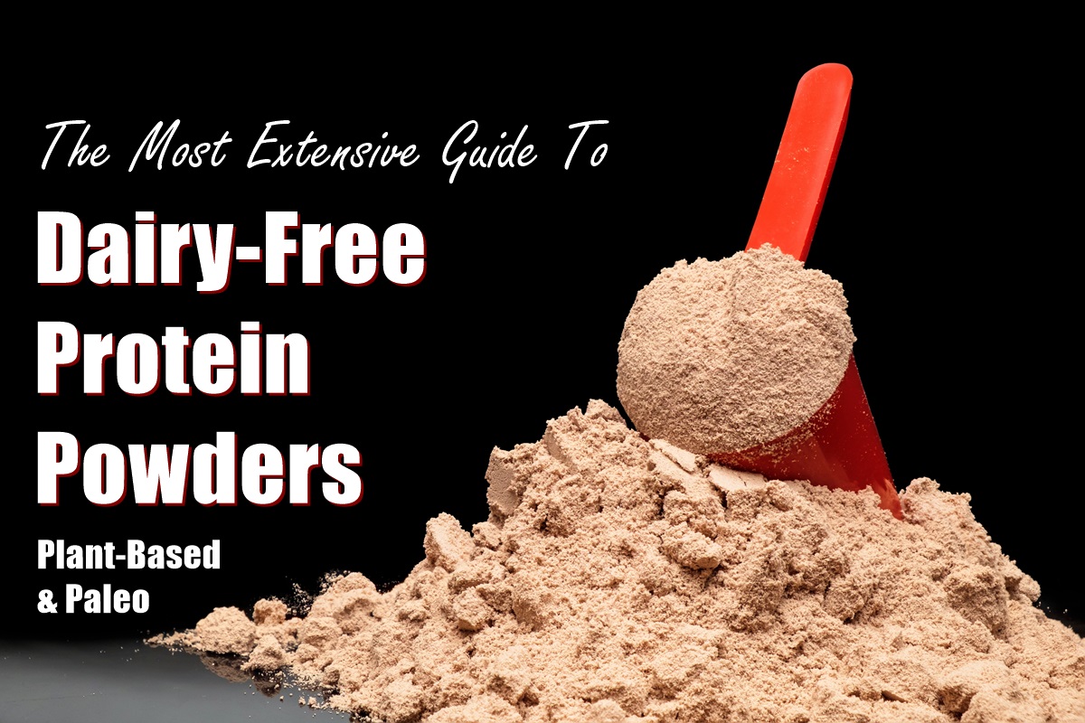 DairyFree Protein Powders Complete Guide (FAQs, Types and Brands)