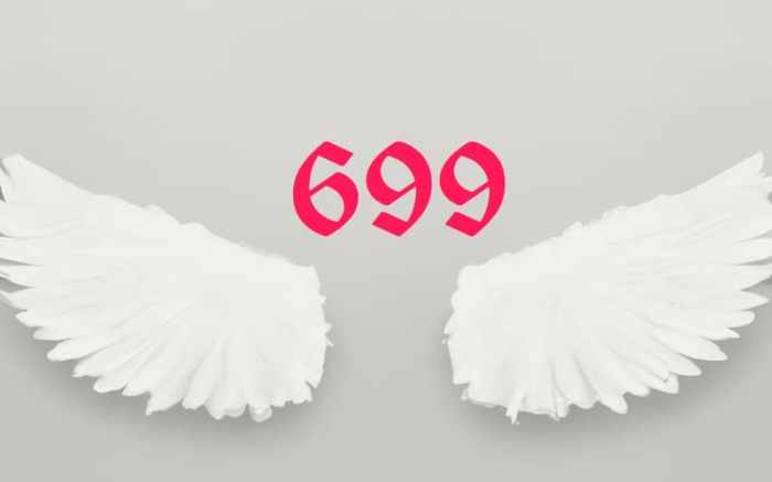 699 net worth