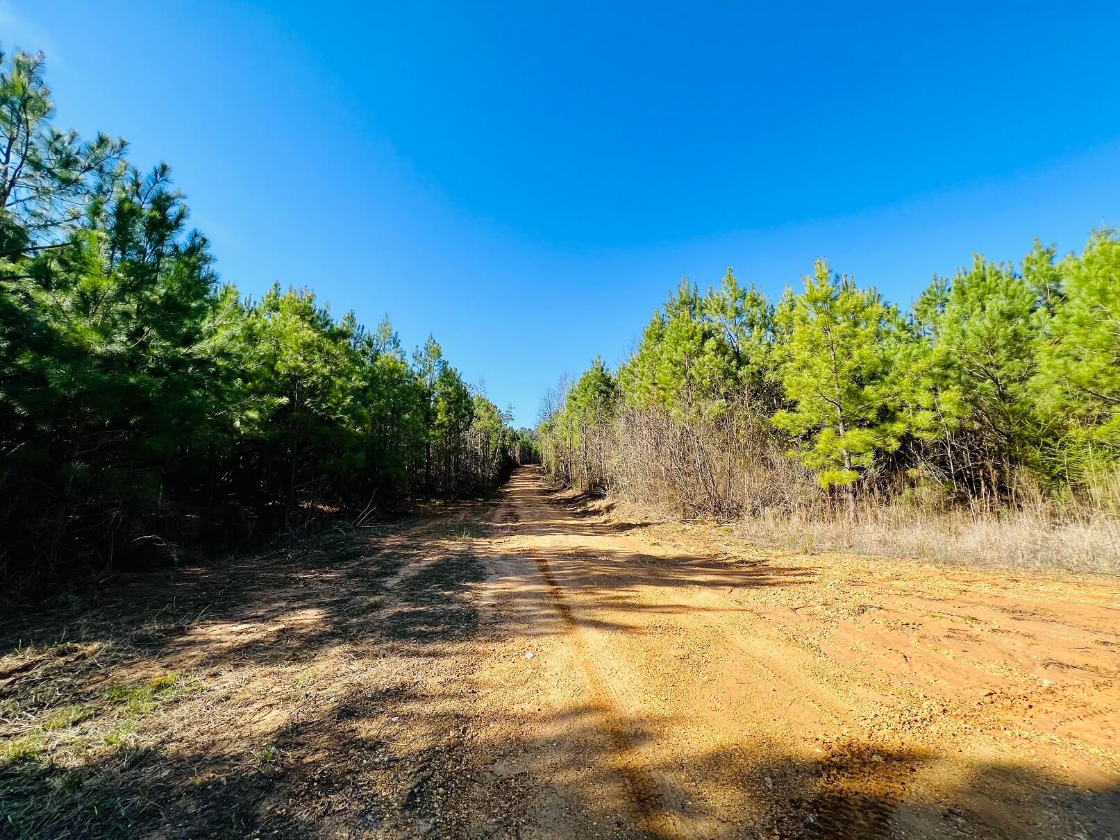 Rider Creek Tract, +/85 acres, County Road 376, Rienzi, Alcorn Co., MS