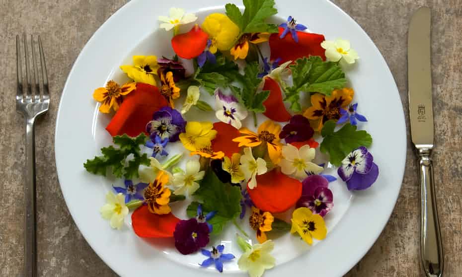 EATING FLOWERS AS FOOD GOD'S HOTSPOT