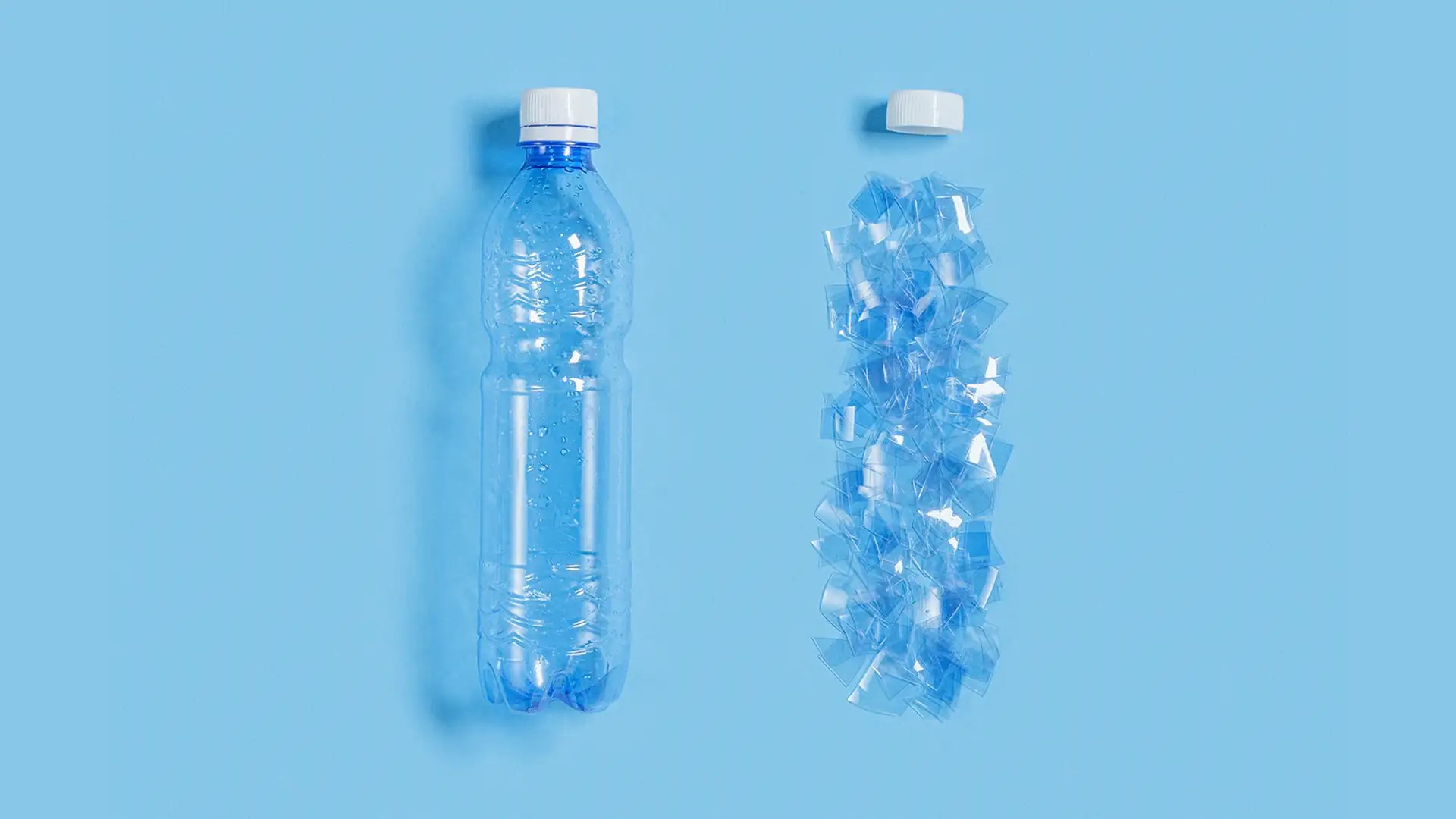 Frequently Asked Questions about Biodegradable Plastics BioTec