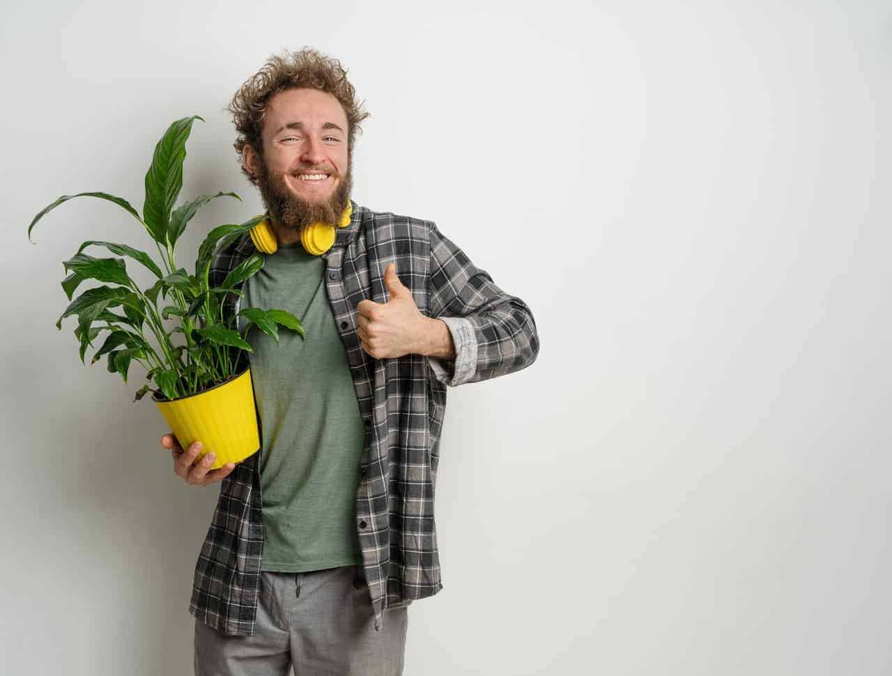 Can You Bring Plants On A Plane? (through TSA) Go Every Corner!