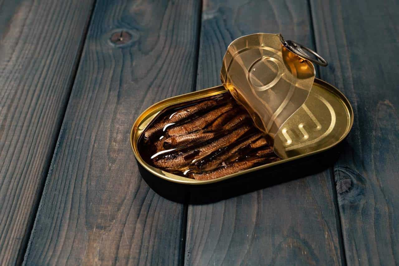 Can You Bring Canned Food On A Plane? (through TSA) Go Every Corner!