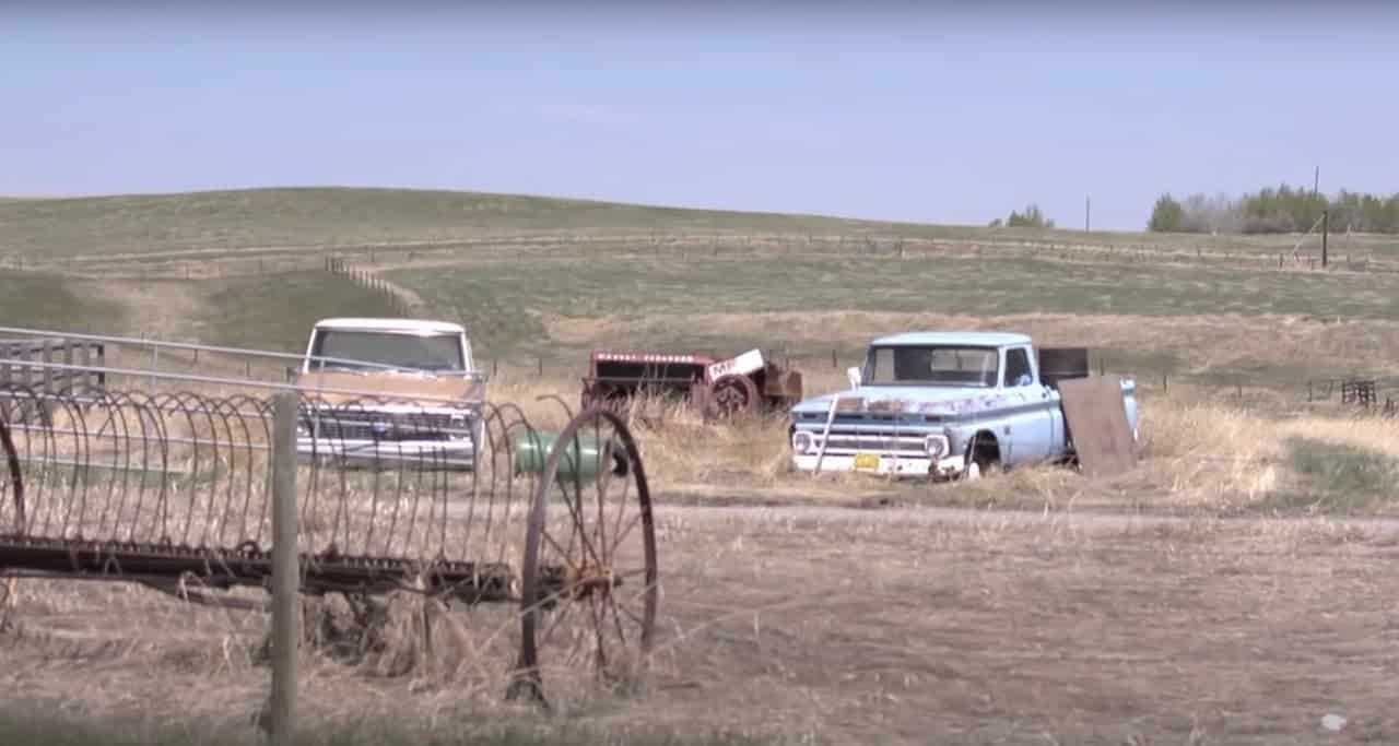 Can You Visit Heartland Ranch? Go Every Corner!