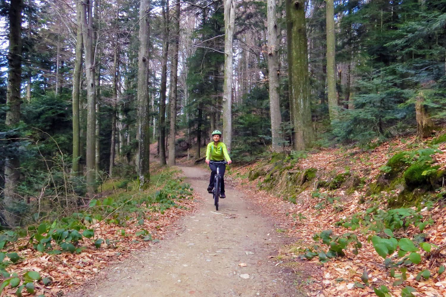 BEAR MOUNTAIN BIKE ADVENTURE MTB Croatia, Zagreb