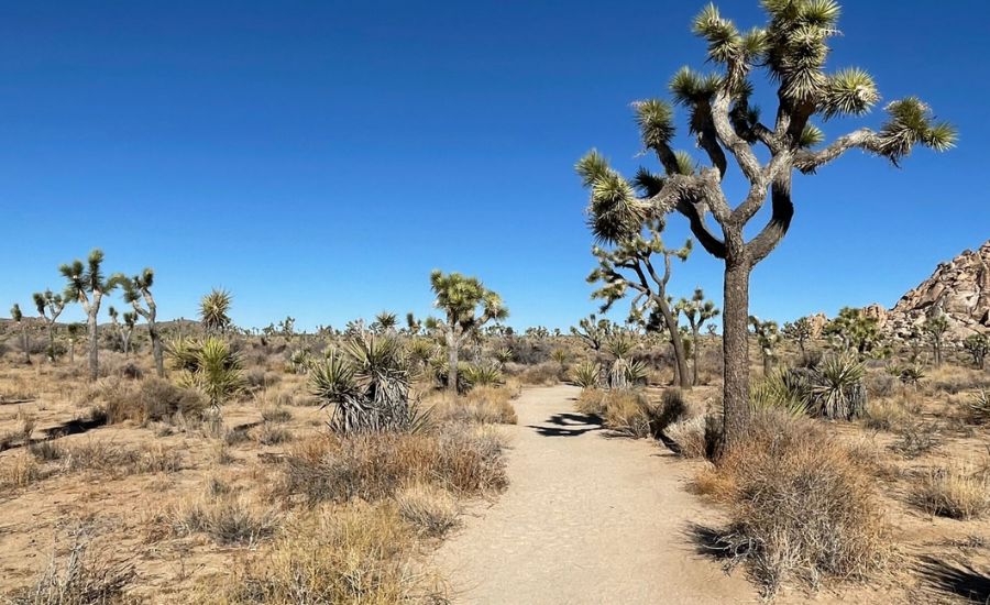 Top 10 Places to Go Winter Backpacking in California (Without Snow)