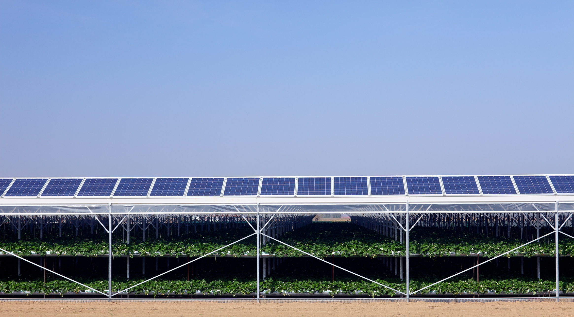 Combining Solar Power and Organic Farming Global Opportunity Explorer